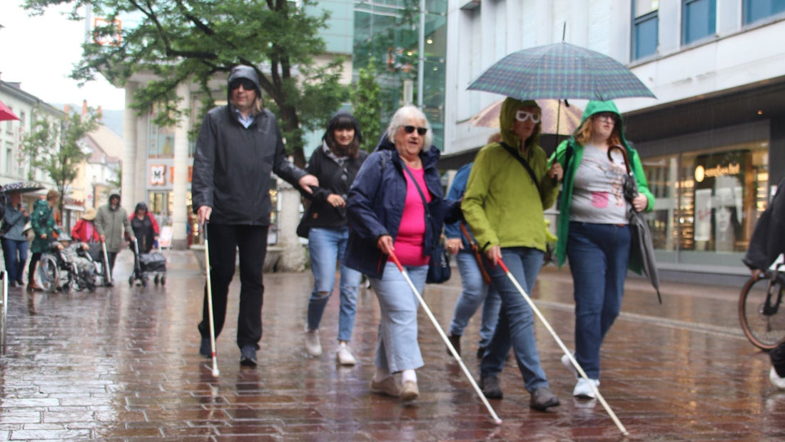 Meine Tätigkeiten als Vorsitzende im Behindertenbeirat: Barrierefreier Stadtspaziergang